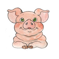 chiński zodiak - świnia