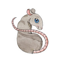  chiński zodiak - szczur